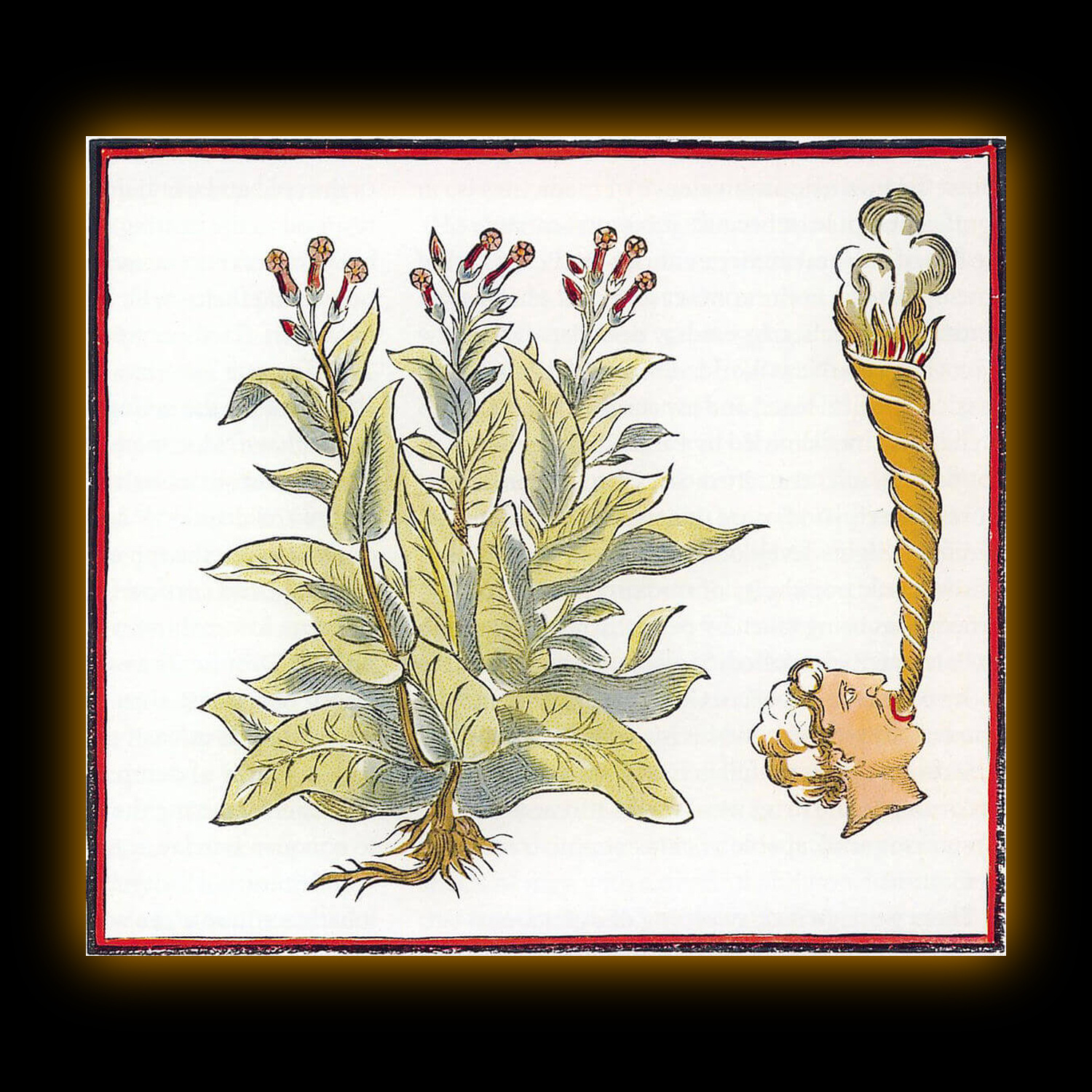 image 59